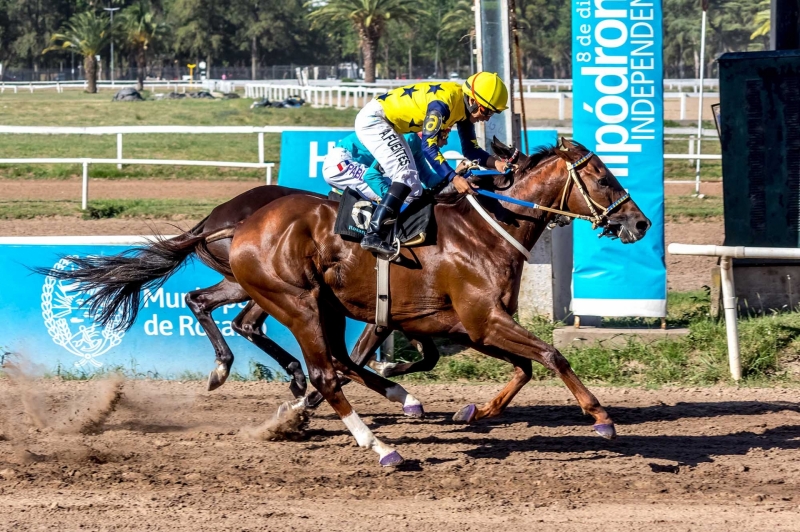 Domingo caluroso con 9 carreras emocionantes