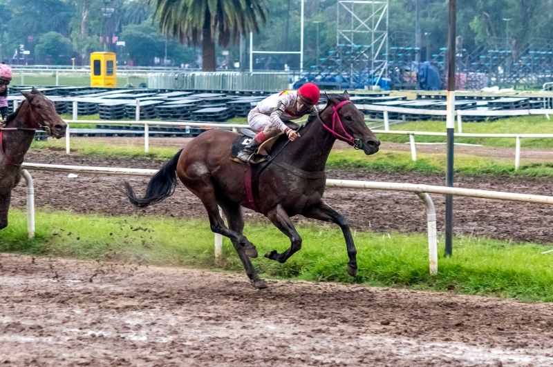 Emotivo viernes de conclusiones en el Hipódromo de Rosario