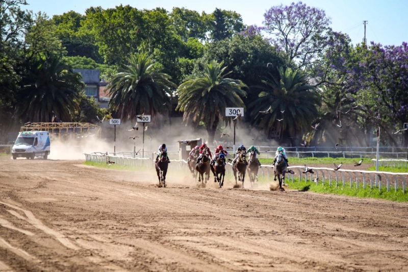 “Laudrup” ganó el Handicap y fue el destacado en el Independencia