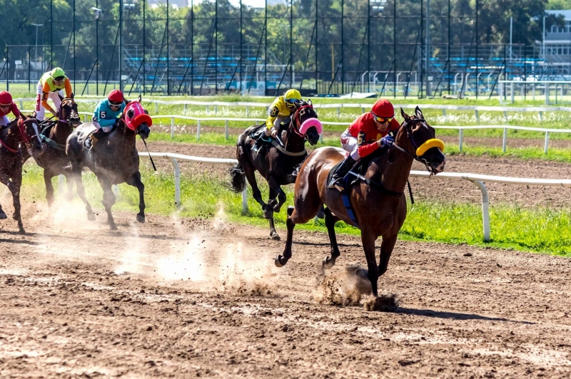 Espléndida jornada HÃpica en el Hipódromo Independencia