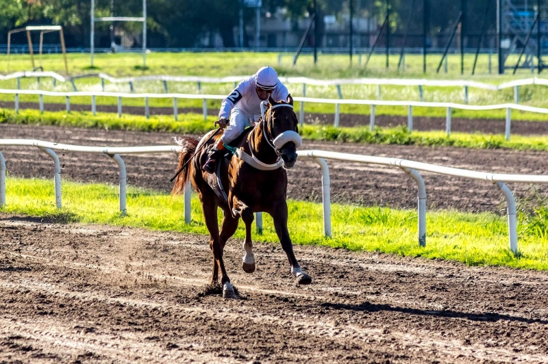 Apasionante jornada otoñal en el Hipódromo de Rosario