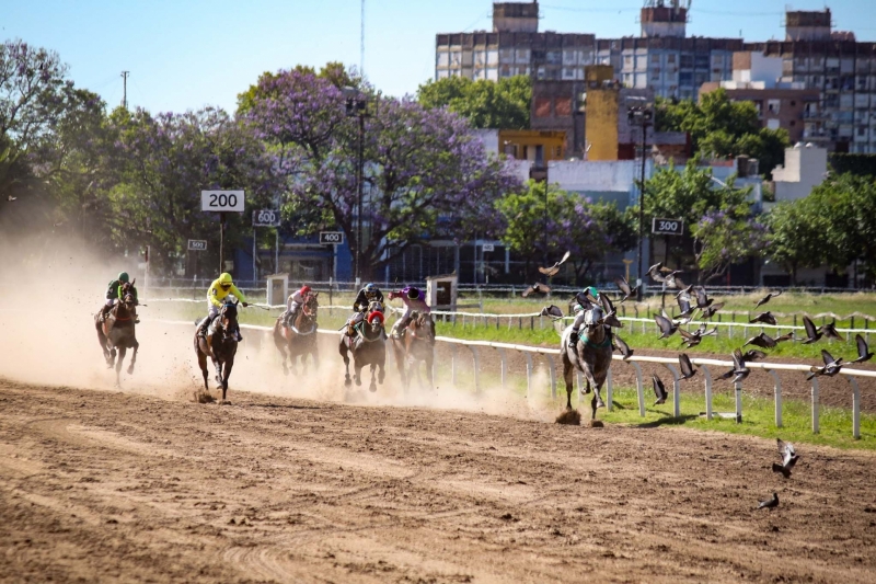 Emocionante tarde de conclusiones en el Hipódromo Independencia