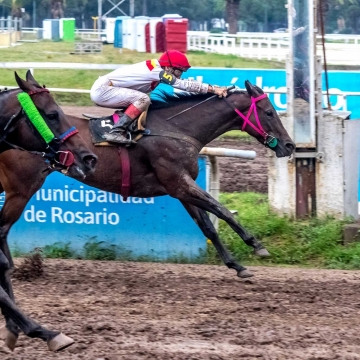 Reunión N°1