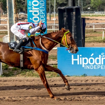 “Purity Spring” fue el caballo que más dominó en los clásicos