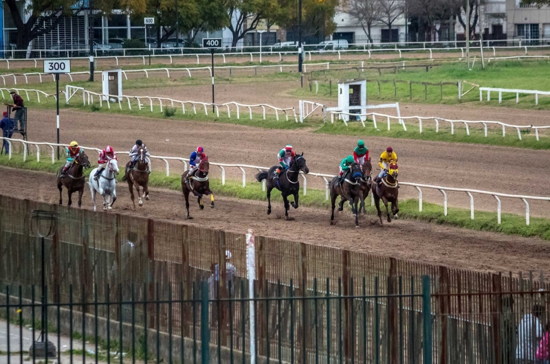 Reunión Nº17 - Domingo 08/09/2019
