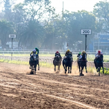 “Laudrup” ganó el Handicap y fue el destacado en el Independencia